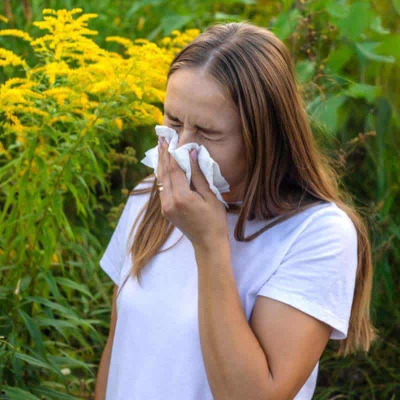 Allergy Treatment Services